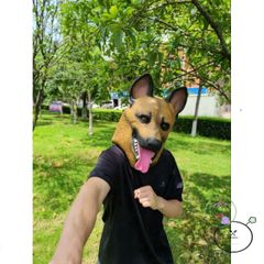 Mặt Nạ Cá Xanh Cosplay Halloween - Mặt Nạ Silicone Kinh Dị Độc Đáo Cho Tiệc Hóa Trang, Phụ Kiện Thú Vị Cho Người Lớn và Trẻ Em