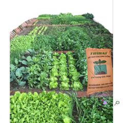 Giá thể Tribat 1KG - Đất Trồng Sạch, Dinh Dưỡng Cao, Không Mầm Bệnh, Thích Hợp Cho Rau Hoa Cảnh, Giữ Ẩm Tốt