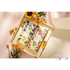Bộ quà tặng Gieo hạt Bừng nở - 4 Bộ kit trồng cây cao cấp kèm hướng dẫn gieo hạt và quà tặng bất ngờ cho người yêu thiên nhiên