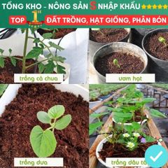 Viên Đất Nén Xơ Dừa Kháng Khuẩn - Giải Pháp Trồng Rau Sạch và Hạt Giống Tiện Lợi, Chất Dinh Dưỡng Tự Nhiên Hữu Cơ