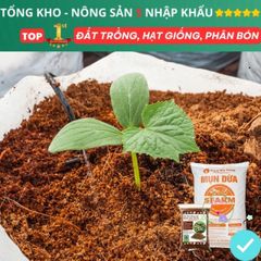 Xơ Dừa Xử Lý 1kg - Giải Pháp Dinh Dưỡng Tối Ưu cho Rau, Hoa, Cây Dâu Tây và Thủy Canh, Giữ Ẩm và Tạo Độ Tơi Xốp cho Đất