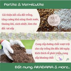 Đất Nung Nhật Bản Akadama Size M (5-10mm) - Hạt cứng, lý tưởng cho bonsai, cây kiểng & thủy sinh, độ ẩm cân bằng, chất lượng cao
