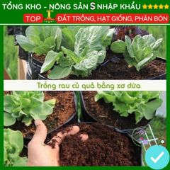 Viên Đất Nén Xơ Dừa Hữu Cơ - Giá Thể Phát Triển Cây Trồng Sạch Khuẩn - Dinh Dưỡng An Toàn, Dễ Sử Dụng