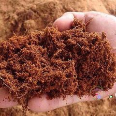 Mùn xơ dừa chất lượng cao 1 kg - Giá thể trồng lan, cây cảnh và rau mầm tự nhiên, giữ ẩm và tăng cường dinh dưỡng cho cây trồng