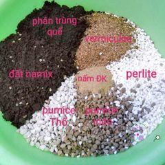 Đá Vermiculite 500g/1kg - Giải Pháp Tuyệt Vời Cho Trồng Rau Mầm, Ươm Hạt Giống Và Giâm Cành Cây Kiểng