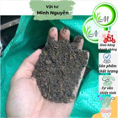 Đất dinh dưỡng tơi xốp 10dm3 cho cây trồng - Phù hợp cho dâu tây, hoa kiểng, ươm mầm cây con khỏe mạnh