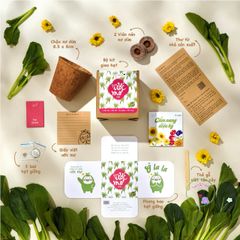 Bộ Dụng Cụ Trồng Cây Ô-Seed - Gieo Hạt Cải Mơ và Tạo Nên Những Điều Kỳ Diệu Cho Mọi Giấc Mơ