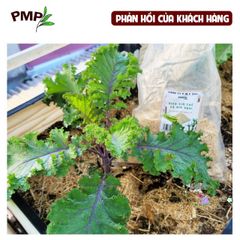 Vỏ Lạc Nghiền Hữu Cơ BIO PMP - Giá Thể Trồng Cây, Giúp Giữ Ẩm, Tăng Mùn và Phát Triển Hệ Vi Sinh Tốt Nhất 1kg