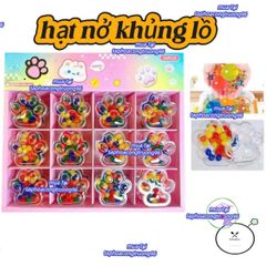 Khay Đựng 24 Hộp Hạt Nở Hình Chân Mèo Dễ Thương - Sản Phẩm Trang Trí Nhà Cửa Siêu Cute cho Mọi Đối Tượng