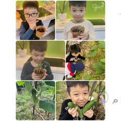 Bộ Trồng Cây Ô-Seed - Hạt Giống Dưa Chuột Vui Vẻ Kèm Hướng Dẫn Gieo Hạt và Quà Tặng Bất Ngờ - Khám Phá Điều Kỳ Diệu
