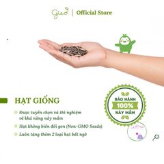 Bộ Trồng Cây Ô-Seed - Hạt Giống Dưa Chuột Vui Vẻ Kèm Hướng Dẫn Gieo Hạt và Quà Tặng Bất Ngờ - Khám Phá Điều Kỳ Diệu