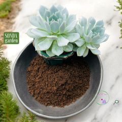 Phân trùn quế SONDA GARDEN 1kg - Phân Hữu Cơ Giàu Dinh Dưỡng Tự Nhiên Cho Cây Trồng Khỏe Mạnh, Hỗ Trợ Phát Triển Nhanh chóng
