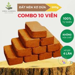 Bộ 10 Viên Xơ Dừa Đất Trồng - Ươm Hạt Giống Gấp 8 Lần - Giải Pháp Hoàn Hảo Cho Cây Rau, Cây Trồng Tại Nhà