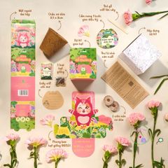 Bộ trồng cây Ô-Seed - Gieo Mầm Thiên Thần - Khám Phá 3 loại hạt giống bí ẩn cho trẻ em - Trải nghiệm gieo hạt thú vị và sáng tạo