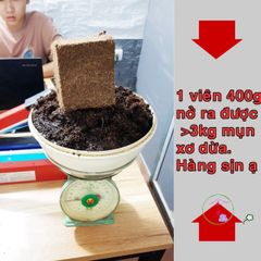 Viên nén xơ dừa bánh lớn 10x6x20cm - Giá thể trồng rau sạch, dễ sử dụng, dinh dưỡng tự nhiên, khối lượng 500-650gr, khuyến mãi 5 tặng 1.
