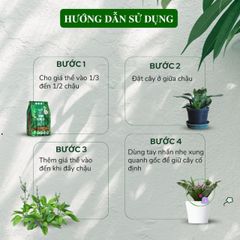 Giá thể trồng cây trong nhà 7 lít cho Monstera, Anthurium và Bàng Singapore - Giải pháp hoàn hảo cho cây cảnh nội thất