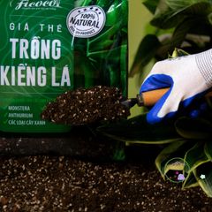 Giá thể trồng cây trong nhà 7 lít cho Monstera, Anthurium và Bàng Singapore - Giải pháp hoàn hảo cho cây cảnh nội thất