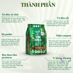 Giá thể trồng cây trong nhà 7 lít cho Monstera, Anthurium và Bàng Singapore - Giải pháp hoàn hảo cho cây cảnh nội thất