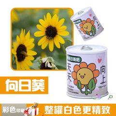 Bộ trồng cây mini tự động nảy mầm - Hạt giống hoa và trái cây cho bé, học STEM, chăm sóc cây tại nhà