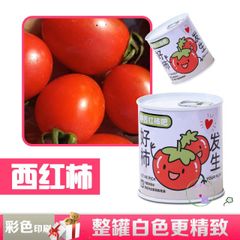 Bộ trồng cây mini tự động nảy mầm - Hạt giống hoa và trái cây cho bé, học STEM, chăm sóc cây tại nhà