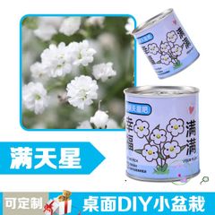 Bộ trồng cây mini tự động nảy mầm - Hạt giống hoa và trái cây cho bé, học STEM, chăm sóc cây tại nhà
