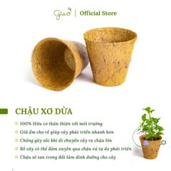 Bộ Sản Phẩm Gieo Hạt Ô-Seed Dâu Tây - Khởi Nguồn Kỳ Diệu Cho Vườn Hoa Ngọt Ngào Của Bạn!