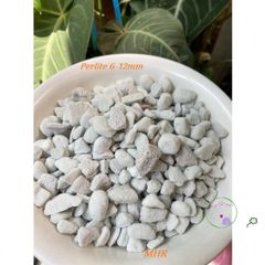 Bộ Túi Perlite Hạt Lớn 10L (6-12mm) - Giá Thể Thoáng Khí, Giúp Cây Phát Triển Tốt Với Độ Thoát Nước Tuyệt Vời