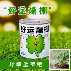 Bộ Hạt Giống Hoa Mini Tự Nảy Mầm - Trải Nghiệm Trồng Cây Tại Nhà Dành Cho Trẻ Em 3 Tuổi Trở Lên