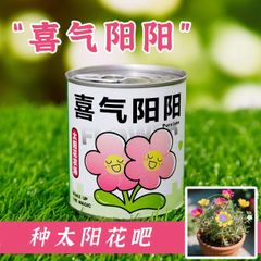 Bộ Hạt Giống Hoa Mini Tự Nảy Mầm - Trải Nghiệm Trồng Cây Tại Nhà Dành Cho Trẻ Em 3 Tuổi Trở Lên