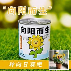 Bộ Hạt Giống Hoa Mini Tự Nảy Mầm - Trải Nghiệm Trồng Cây Tại Nhà Dành Cho Trẻ Em 3 Tuổi Trở Lên