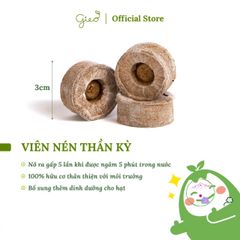 Bộ Dụng Cụ Trồng Cây Ô-Seed - Khởi Đầu Sáng Tạo với Hạt Hoa Đậu Biếc, Chậu Xơ Dừa và Hướng Dẫn Gieo Hạt