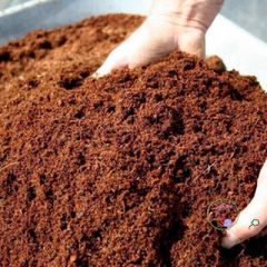 Bộ 5 viên nén xơ dừa hữu cơ cho trồng rau củ quả và cây cảnh - Giải pháp đất trồng an toàn và hiệu quả