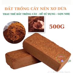 Bộ 5 viên nén xơ dừa hữu cơ cho trồng rau củ quả và cây cảnh - Giải pháp đất trồng an toàn và hiệu quả