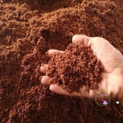 Bộ 5 viên nén xơ dừa hữu cơ cho trồng rau củ quả và cây cảnh - Giải pháp đất trồng an toàn và hiệu quả
