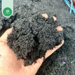 Trấu Hun Nghiền Mịn 1 KG - Giá Thể Trồng Cây Kiểng, Rau Sạch, Thủy Canh - Tăng Dinh Dưỡng và Độ Ẩm Cho Đất