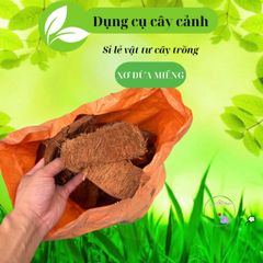 Xơ Dừa Xử Lý 100% Tươi - Giá Thể Trồng Hoa Lan Nhỏ Gọn, Giúp Kích Thích Rễ Phát Triển, Giữ Ẩm Tốt