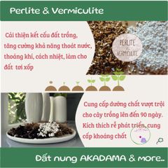 Giá Thể Đất Trồng Đa Năng Nhật Bản 14L - Siêu Giữ Ẩm, Dinh Dưỡng Cao cho Cây Hoa, Rau, Cảnh, Thực Vật Tự Nhiên