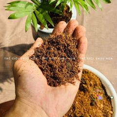 Giá thể trồng cây thủy sinh 200g - Dinh dưỡng cao, giữ ẩm tối ưu cho cây phát triển xanh tốt, an toàn cho mọi loại cây kiểng.
