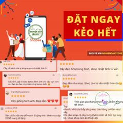 Đất Trồng Chibas 1kg - Dinh Dưỡng Cao Cho Cây Cảnh, Hoa, Rau Sạch, Thích Hợp Sen Đá và Cải Tạo Đất Bạc Màu