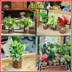 Viên Đất Nung Thủy Canh AQUA - Giá Thể Trồng Cây Sạch, Không Mùi, Đất Nung Không Nấm Mốc, Giải Pháp Trồng Cây Dễ Dàng, Kiểu Dáng Hiện Đại