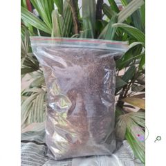 Gói 2kg Rêu Than Bùn Peat Moss Nhập Khẩu - Giá Thể Cao Cấp Cho ươm Hạt, Trồng Cây, Giâm Cành, Cải Thiện Đất