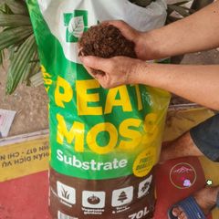 Gói 2kg Rêu Than Bùn Peat Moss Nhập Khẩu - Giá Thể Cao Cấp Cho ươm Hạt, Trồng Cây, Giâm Cành, Cải Thiện Đất