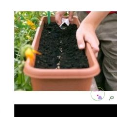 Gói 2kg Rêu Than Bùn Peat Moss Nhập Khẩu - Giá Thể Cao Cấp Cho ươm Hạt, Trồng Cây, Giâm Cành, Cải Thiện Đất