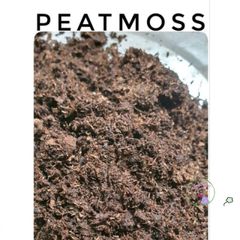 Gói 2kg Rêu Than Bùn Peat Moss Nhập Khẩu - Giá Thể Cao Cấp Cho ươm Hạt, Trồng Cây, Giâm Cành, Cải Thiện Đất