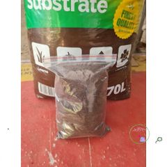 Gói 2kg Rêu Than Bùn Peat Moss Nhập Khẩu - Giá Thể Cao Cấp Cho ươm Hạt, Trồng Cây, Giâm Cành, Cải Thiện Đất