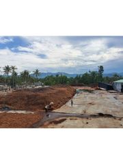 Bộ 20 Viên Phân Đất Trồng Cây Hữu Cơ Từ Xơ Dừa - Phân Bón Tiện Lợi Cho Rau Mầm, Cây Kiểng, An Toàn