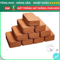 Viên Nén Xơ Dừa Trồng Rau Mầm - Giá Thể Hữu Cơ Tốt Nhất Cho Rau Củ Quả & Hoa Sen Đá - Nông Sản S Chính Hãng