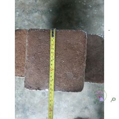 Viên Nén Xơ Dừa Trồng Rau Mầm - Giá Thể Hữu Cơ Tốt Nhất Cho Rau Củ Quả & Hoa Sen Đá - Nông Sản S Chính Hãng