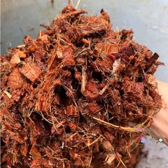 Bộ 10 viên nén xơ dừa băm 500G - Giá thể trồng lan, cây kiểng và cảnh quan lý tưởng cho mọi loại cây