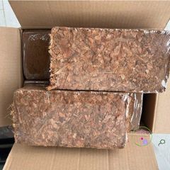 Bộ 10 viên nén xơ dừa băm 500G - Giá thể trồng lan, cây kiểng và cảnh quan lý tưởng cho mọi loại cây